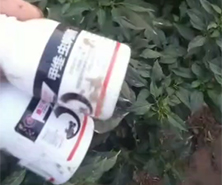 客戶(hù)反饋
